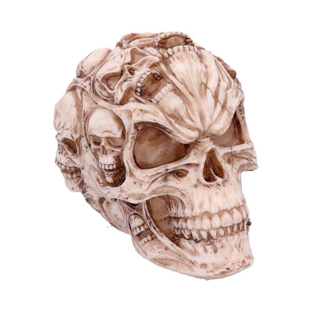 Skull Of Skulls