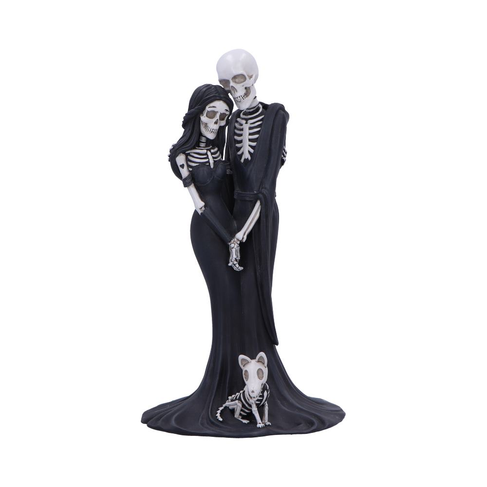 Eternal Companion
