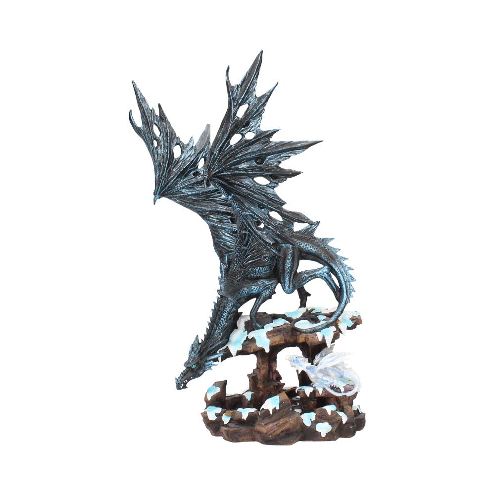 Dragons Wisdom