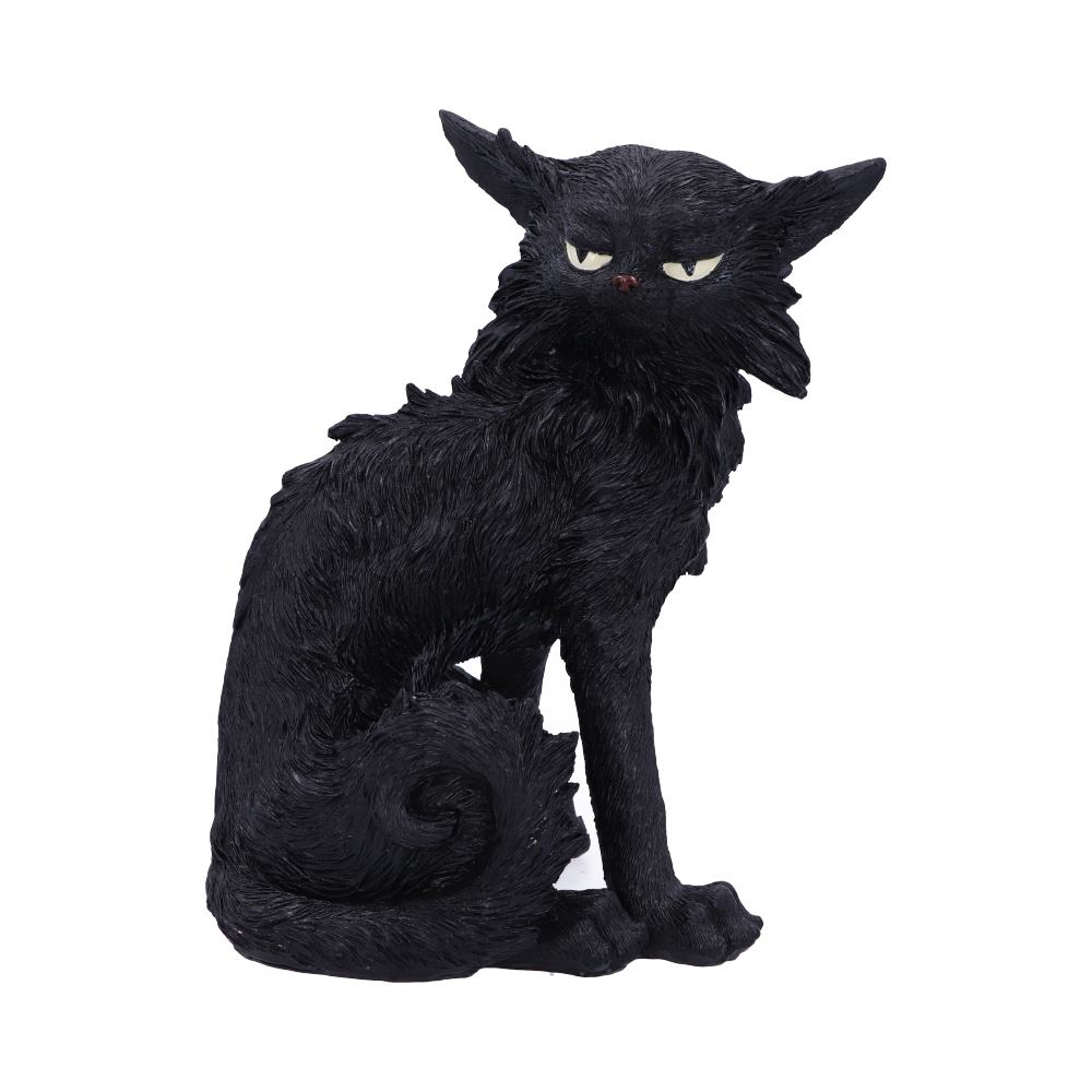 Salem Small