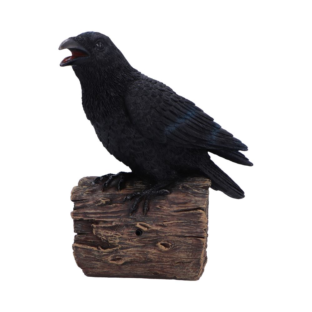 Ravens Cry