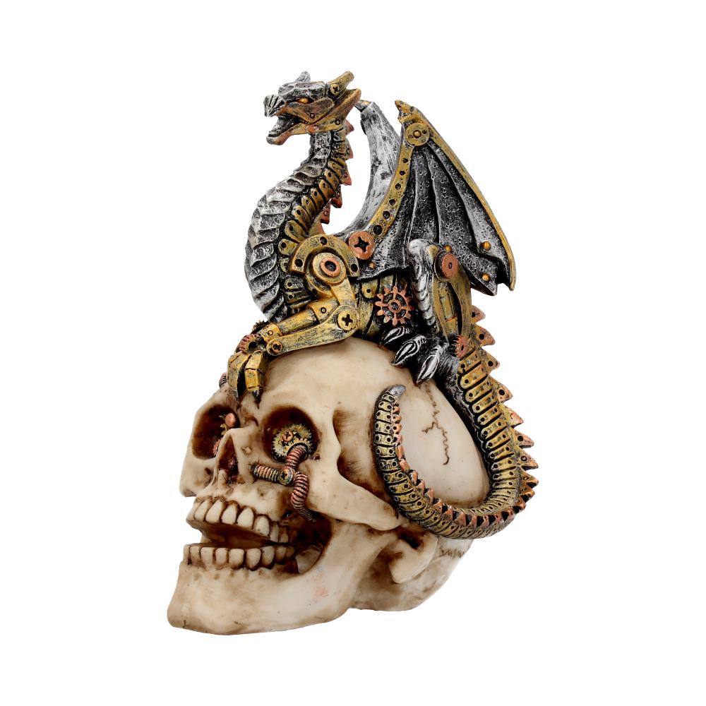 Dragons Grasp
