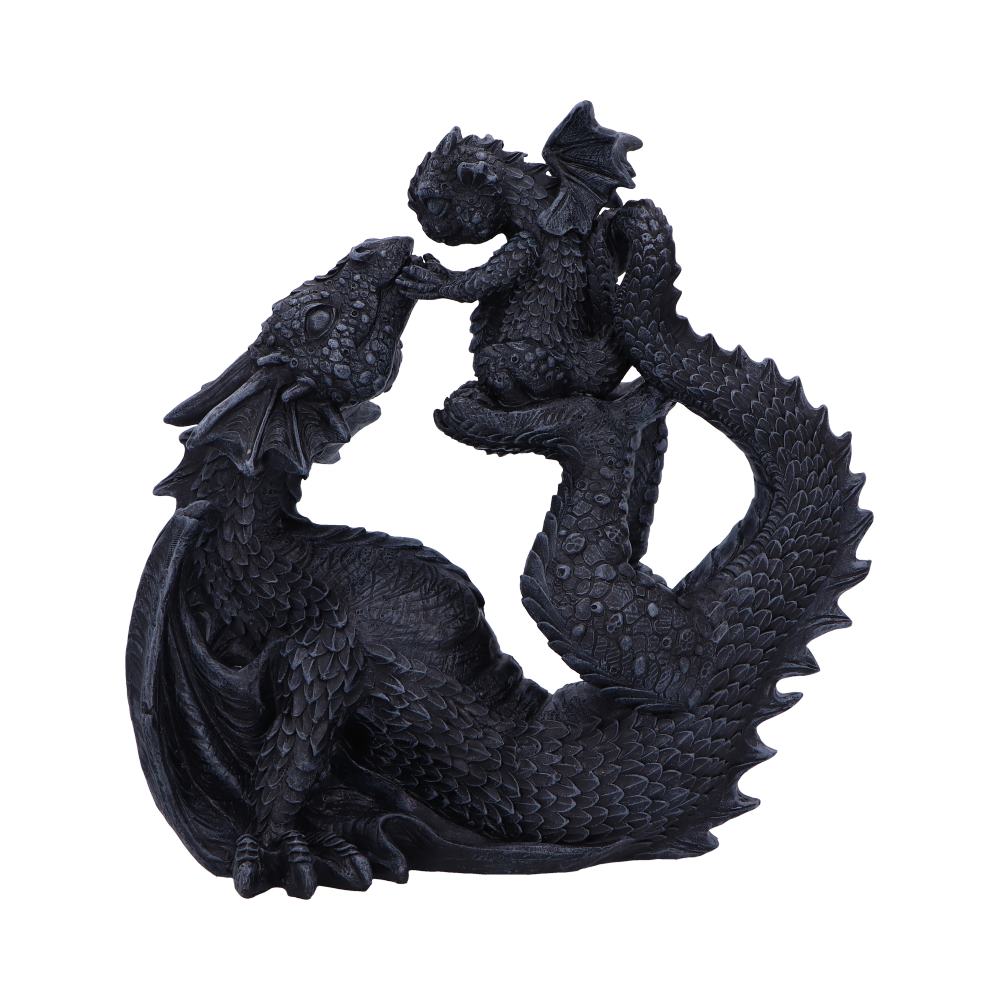 Drakaina And Dragonling