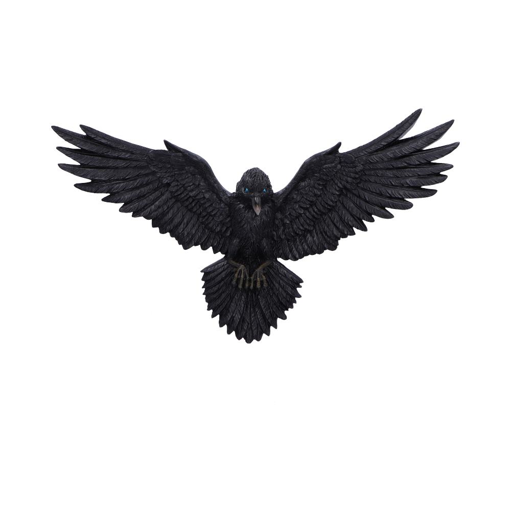 Flight Of The Raven