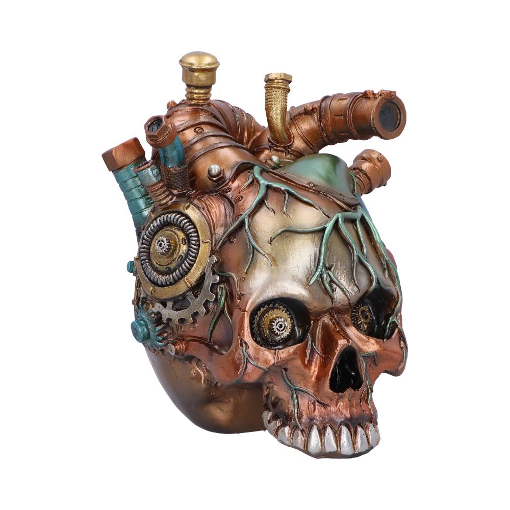 Cardiac Cranium