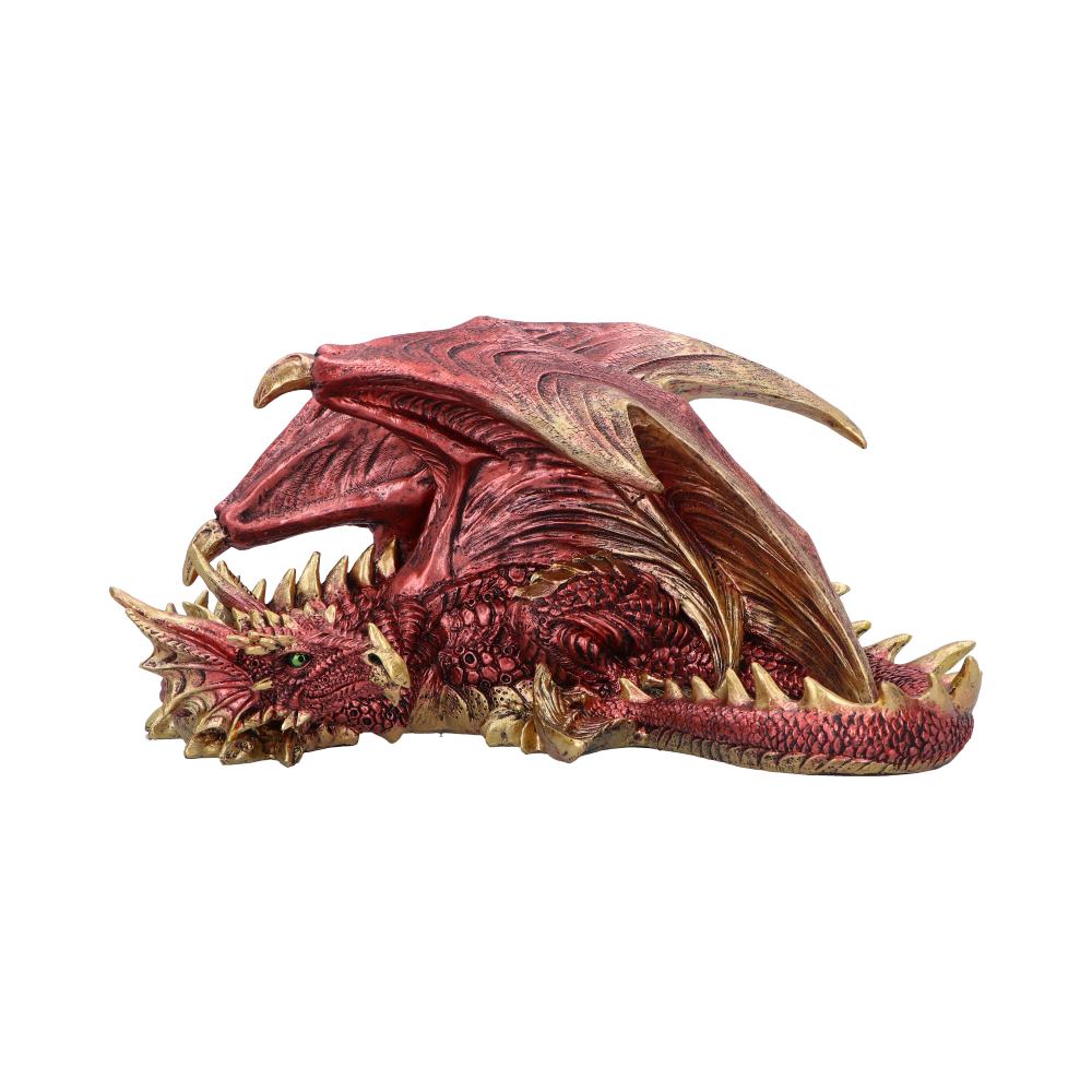 Aaden Large