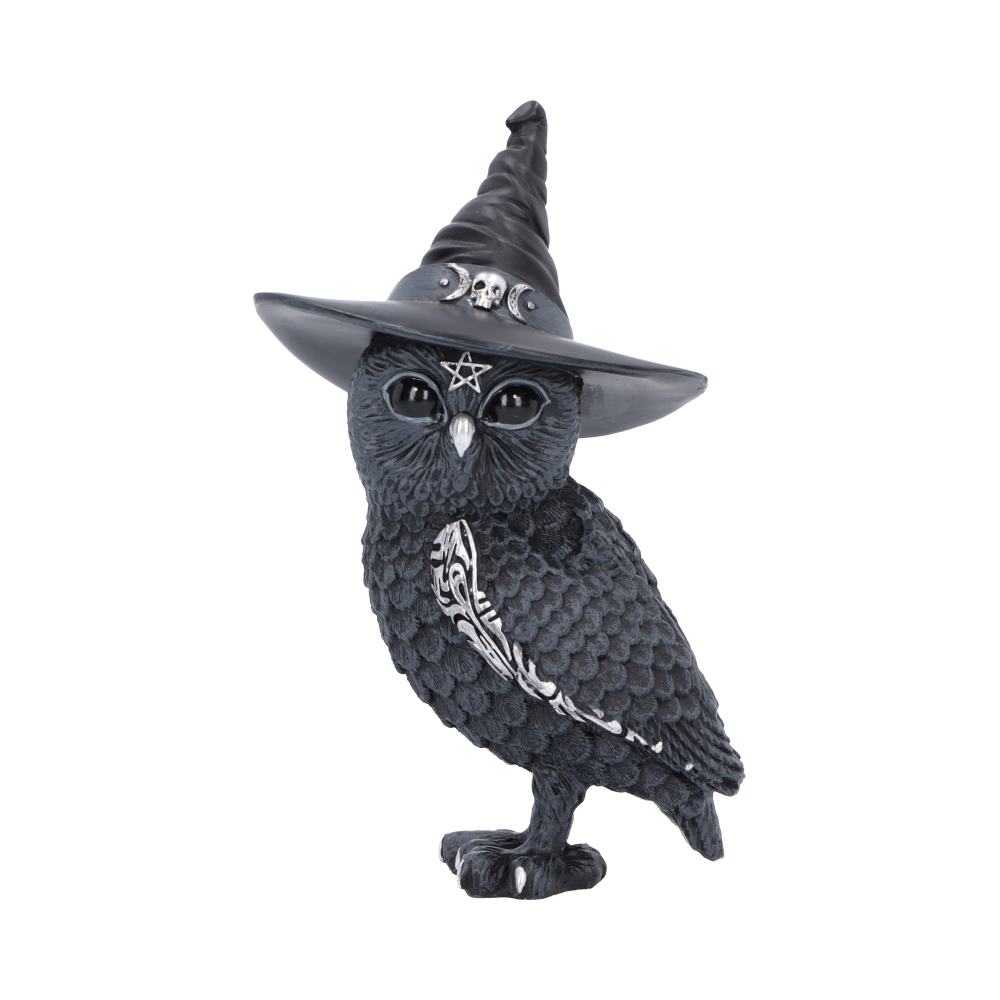 Owlocen