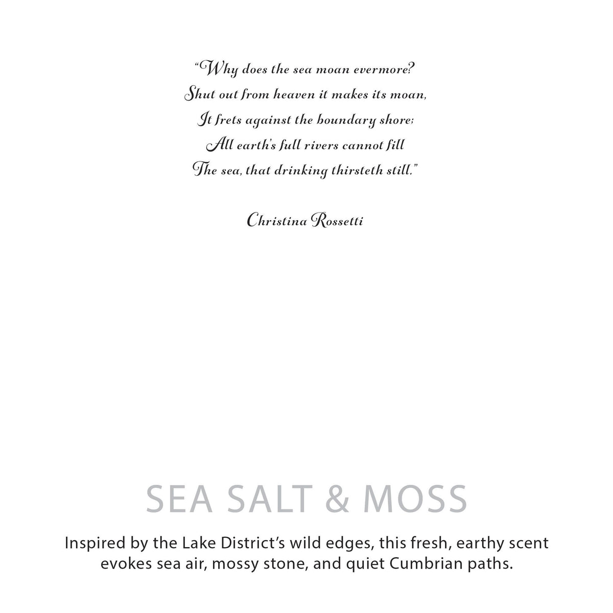 Agnes + Cat Botanical Soy Wax Candle - Seasalt & Moss
