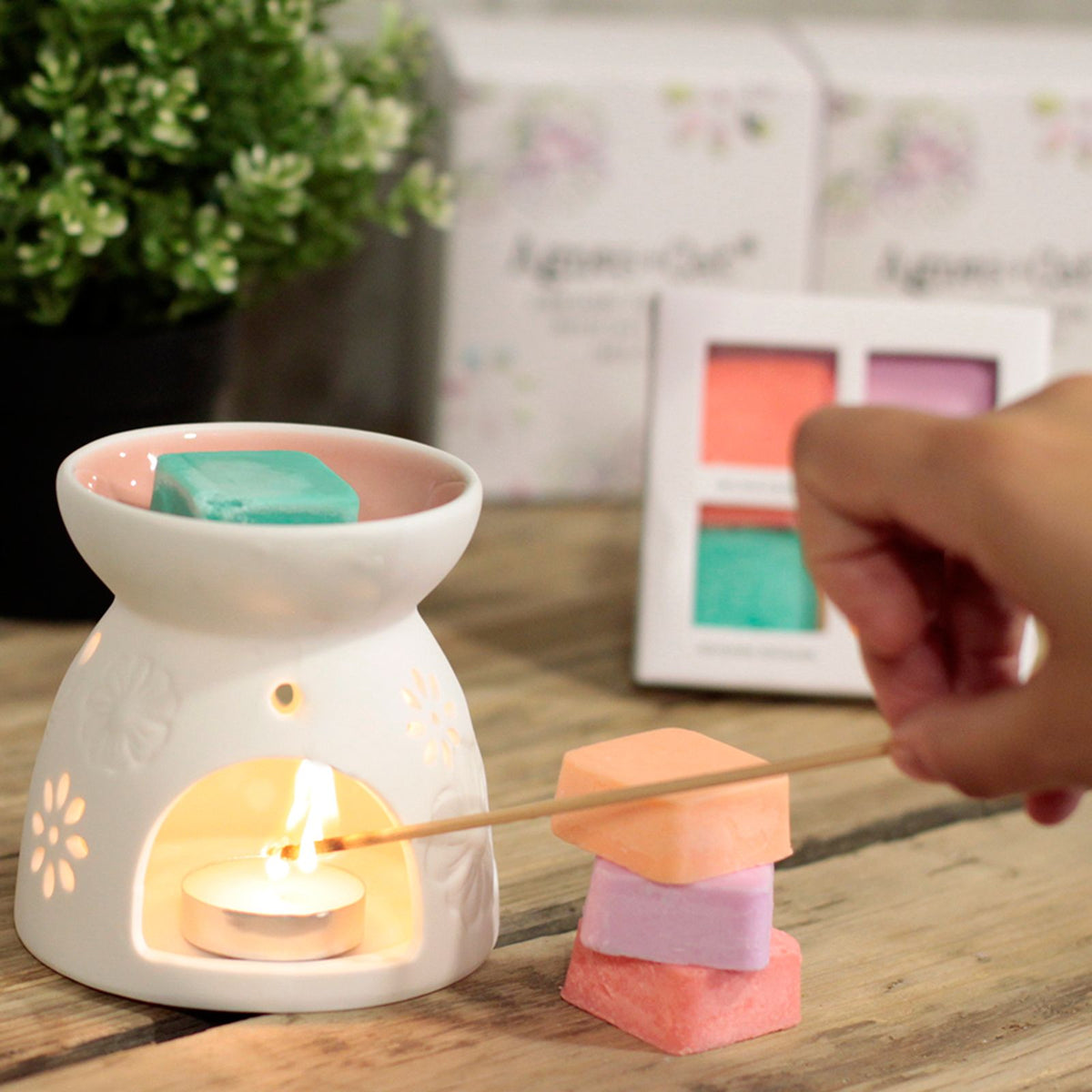 Wax Melter with Four Soy Wax Melts