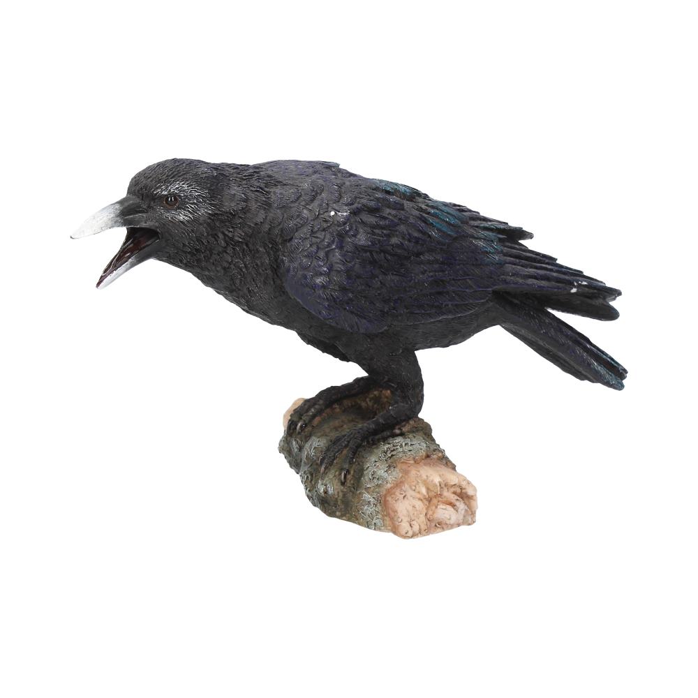 Ravens Call
