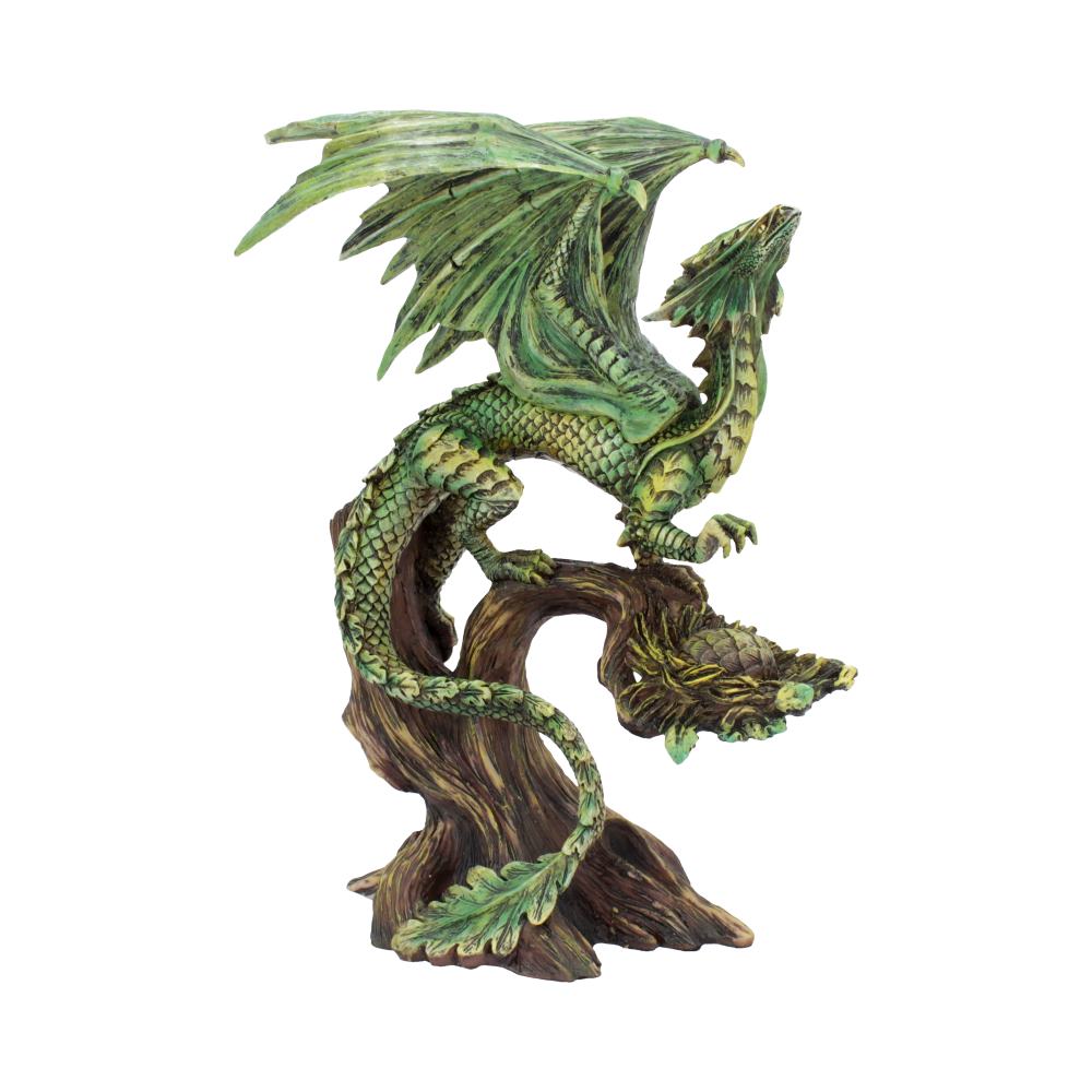 Adult Forest Dragon AS