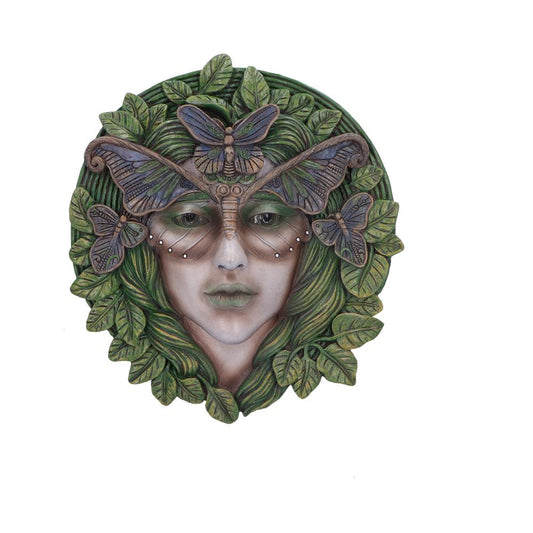 Fern