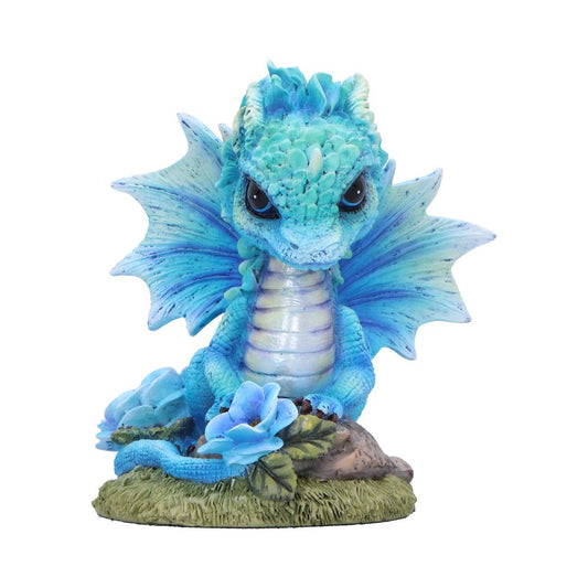 Blue Poppy Flower Dragon