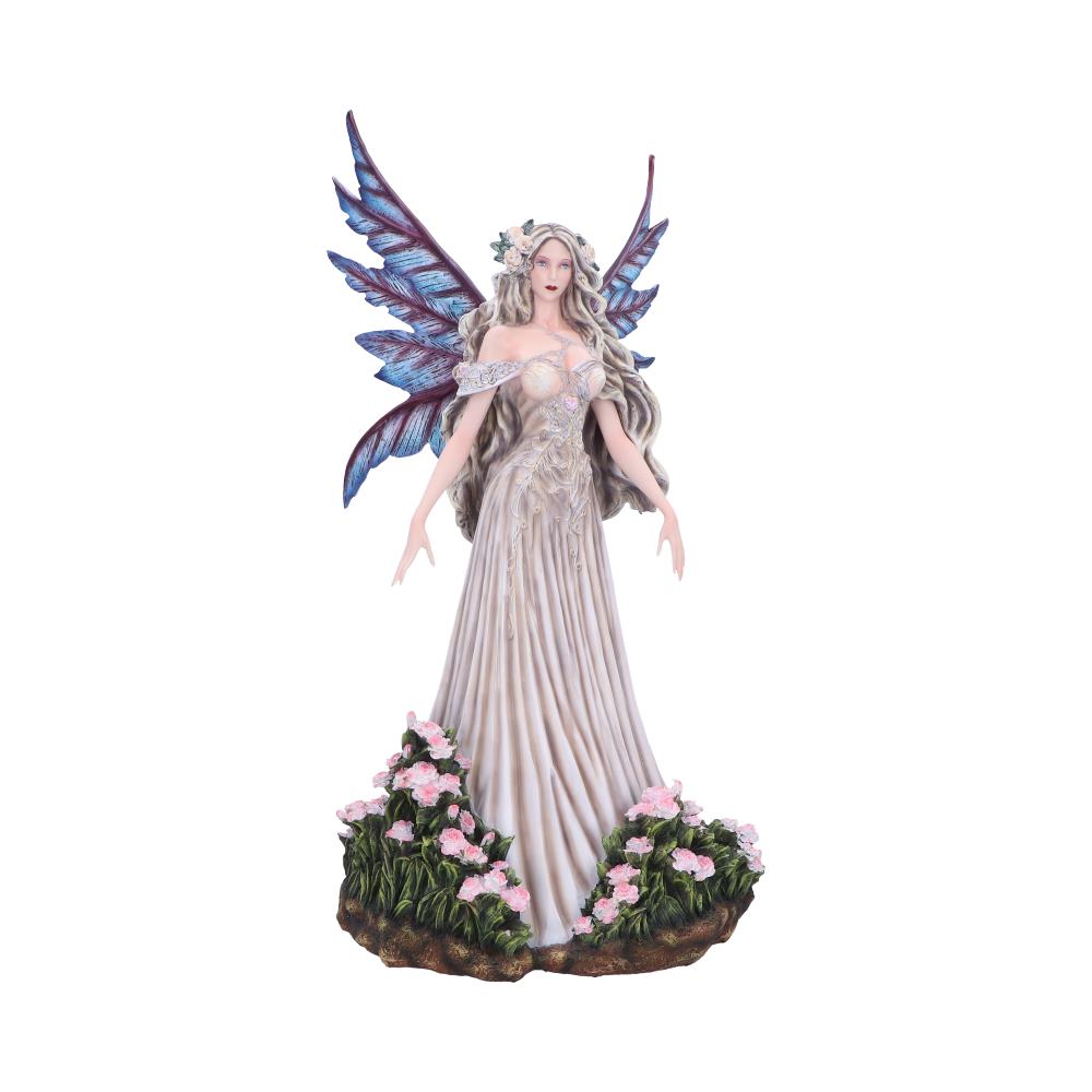 Carnelia
