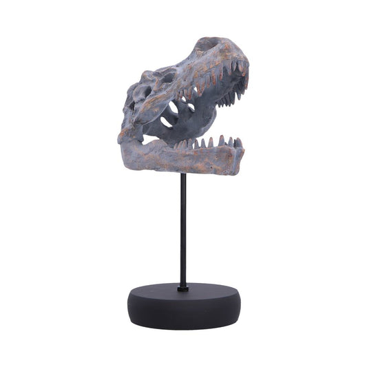 Tyrannosaurus Rex Skull On Plinth