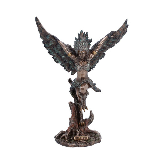 Harpy The Creature Of Storm And Tempest