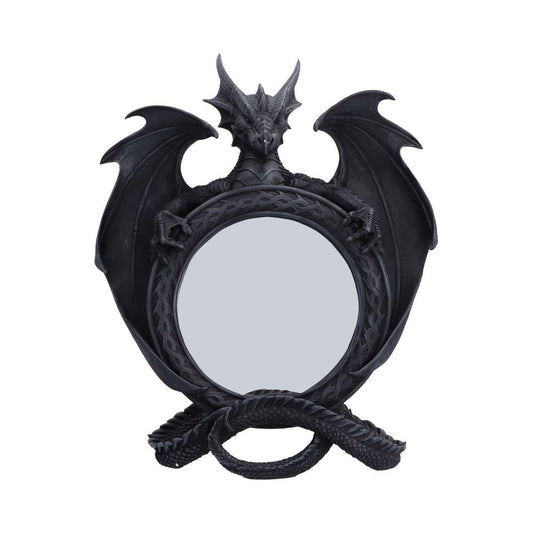 Darkwing Reflection