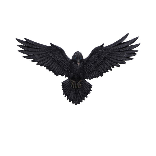 Flight Of The Raven